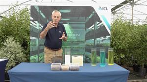 Andrew Wilson ICL